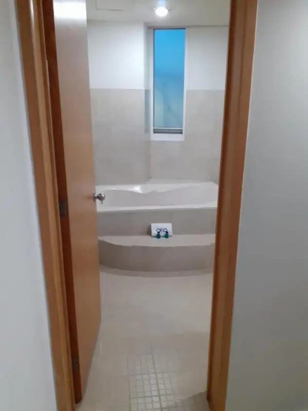 Hotel CEO 4