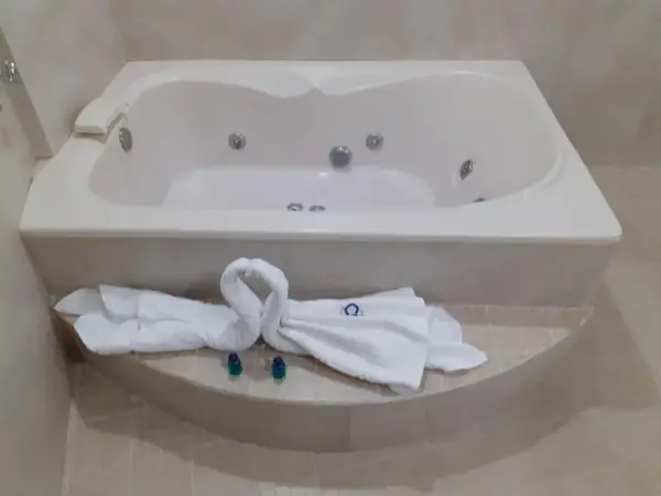 Hotel CEO 5